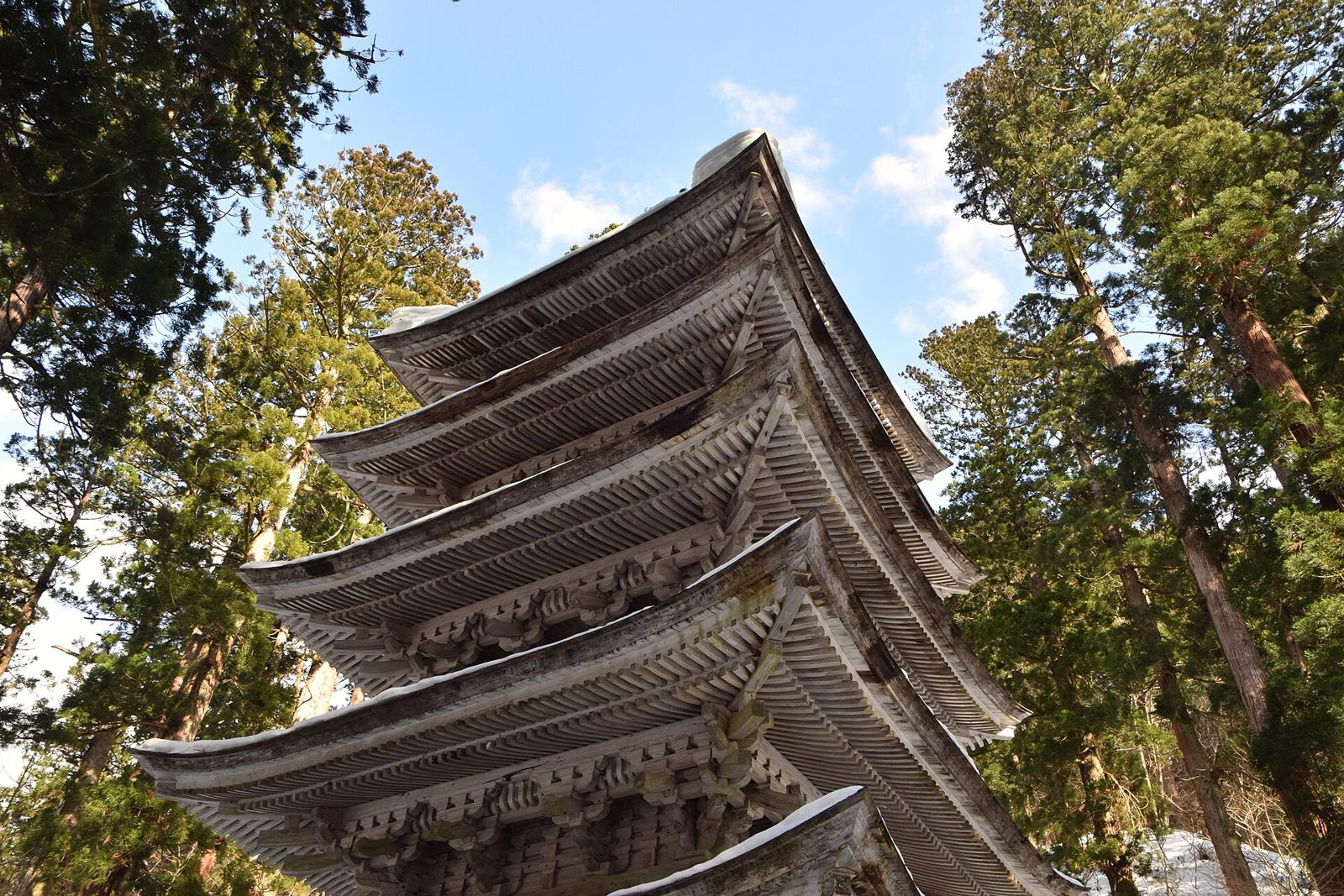 Five-storey pagoda in the cedar forest of Mount Haguro