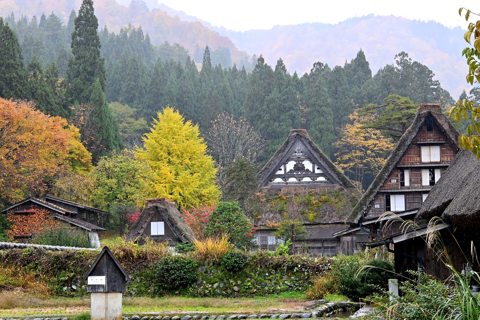 Ogimachi village