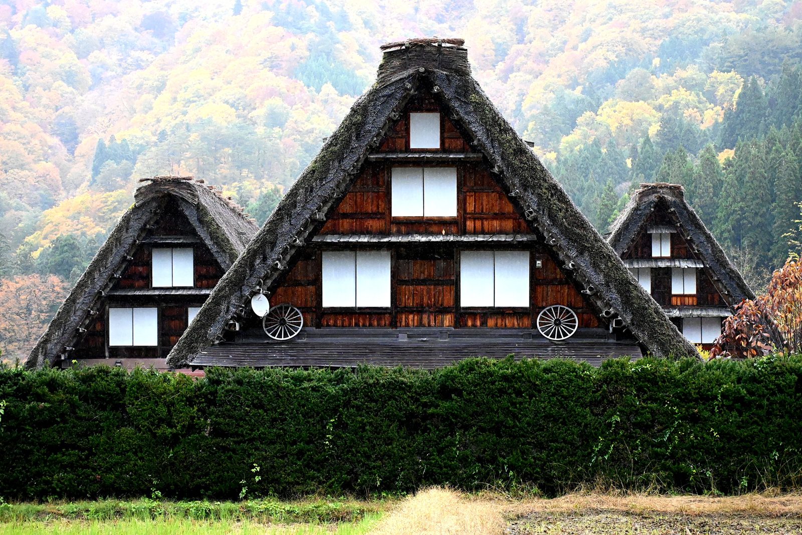 Gassho-zukuri farmhouses