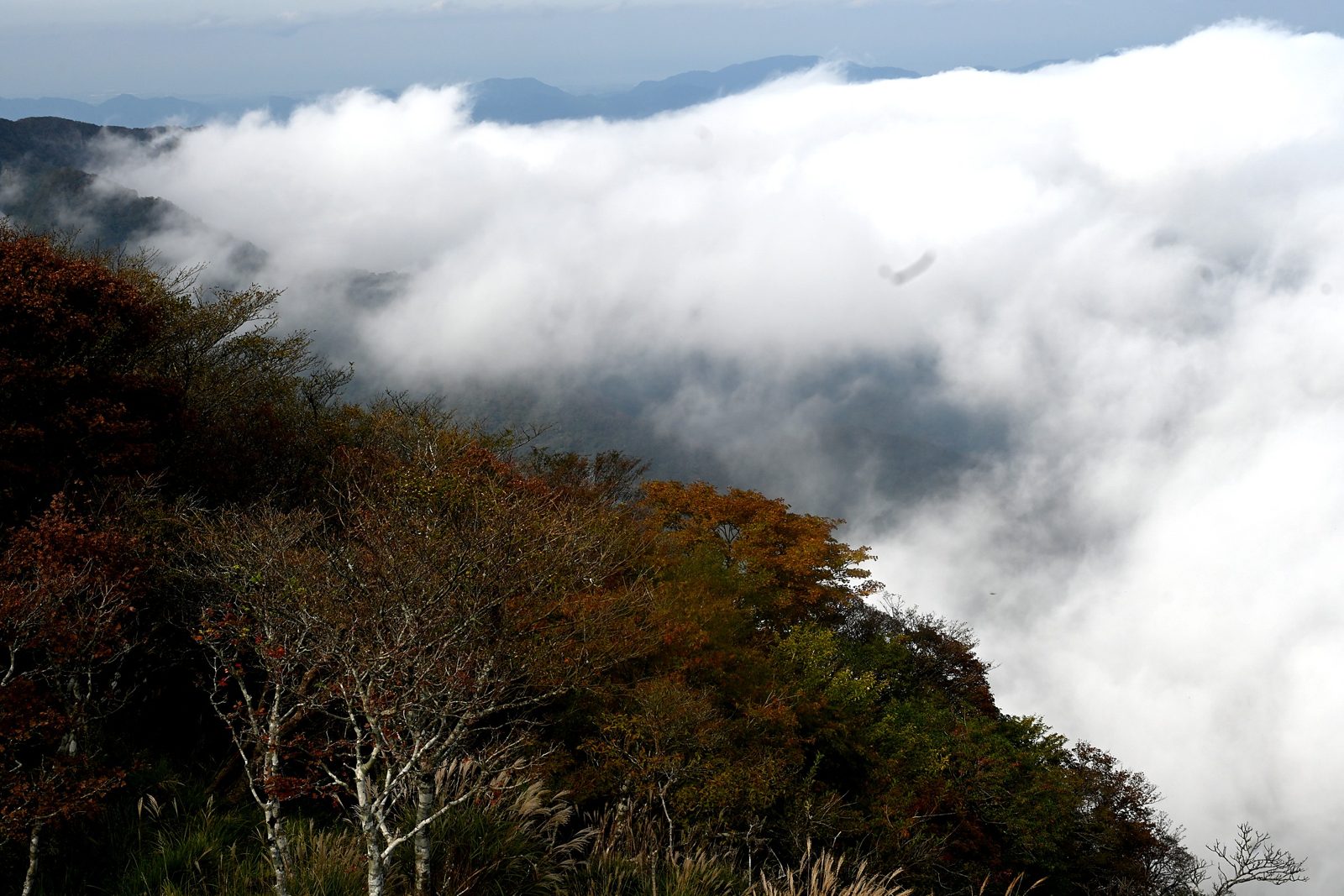 A sea of clouds below Mount Tsurumi